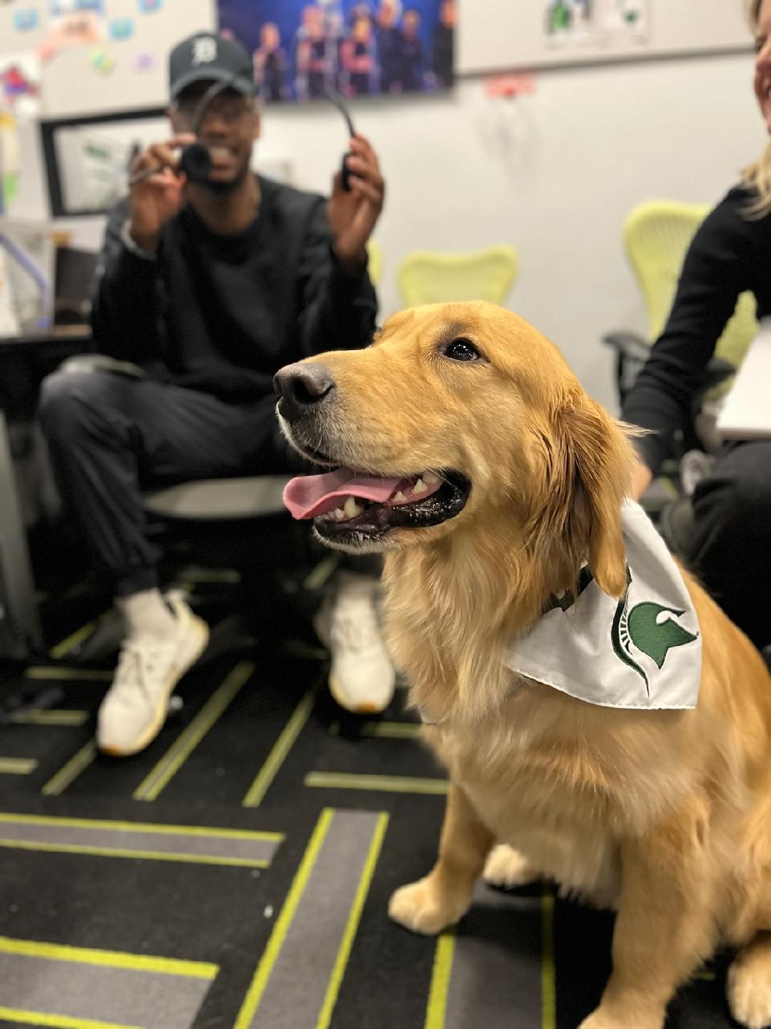 Onyx the dog wears an MSU logo bandana.  A student is seated behind him. 